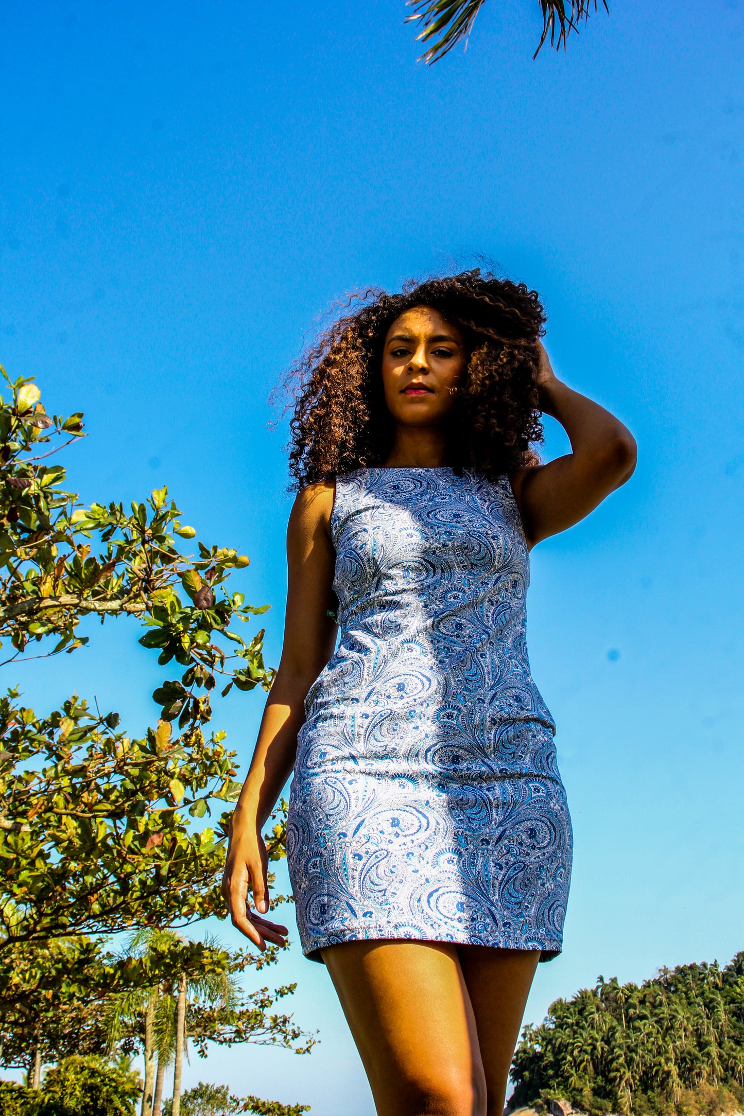 Paisley Blue and white Dress no sleeves
